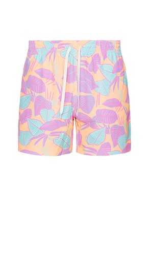 SHORT DE BAIN THE in . Size M, S, XL/1X - Chubbies - Modalova