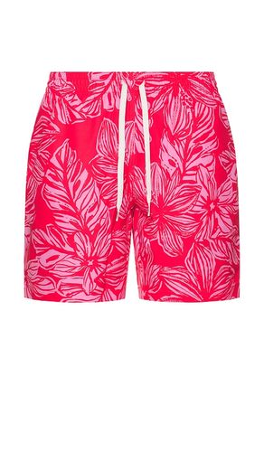 SHORT DE BAIN THE en . Taille L. Also en M, S, XL/1X - Chubbies - Modalova