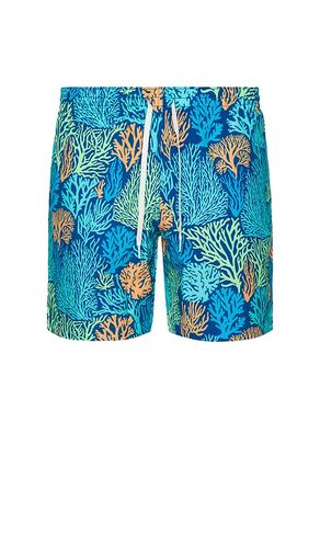 SHORT DE BAIN THE en . Taille L. Also en M, S, XL/1X - Chubbies - Modalova