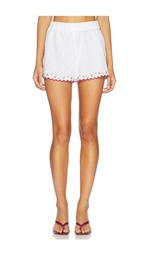 Joska Short en . Taille S. Also en L, XL - Ciao Lucia - Modalova