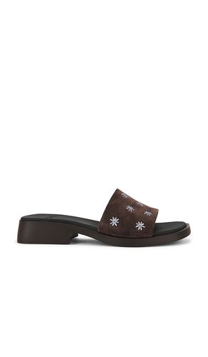 SANDALES DANA en . Taille 37. Also en - Camper - Modalova