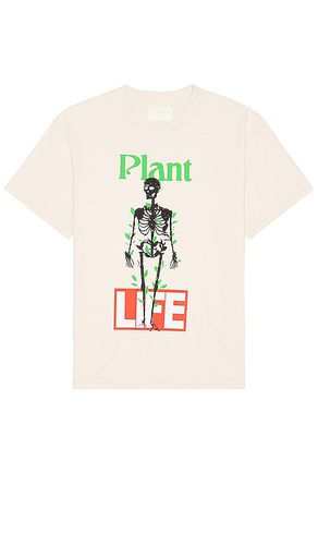 Plant Life Tee in . Size M - CRTFD - Modalova