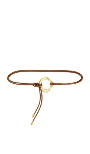 Cult Gaia CEINTURE ASA en Brown - Cult Gaia - Modalova