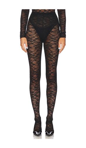 Lace Skin Leggings in . Size M, S, XL, XS, XXL - CULTNAKED - Modalova