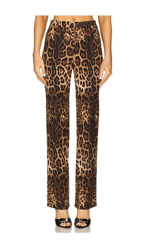PANTALON DROIT KILLA in . Size XS, XXL, XXS - CULTNAKED - Modalova