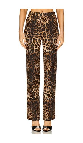 PANTALON DROIT KILLA in . Size XXL - CULTNAKED - Modalova