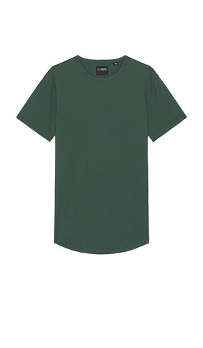 T-SHIRT CURVE HEM in . Size M, S, XL/1X - Cuts - Modalova