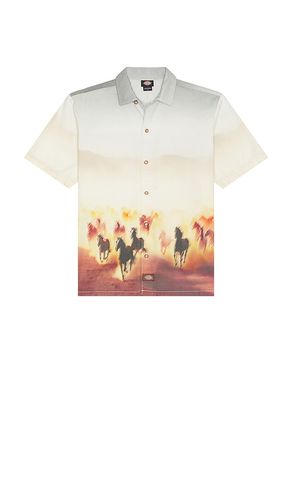 CHEMISE in . Size XL/1X - Dickies - Modalova