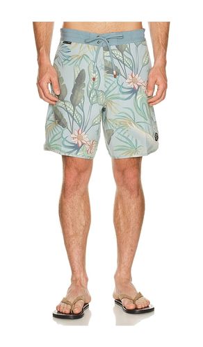 Sennit Boardshort en . Taille 30. Also en 32, 34, 36 - Dark Seas - Modalova