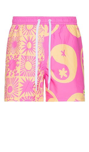 Sunburst Swim Short in . Size S, XL/1X - Duvin Design - Modalova