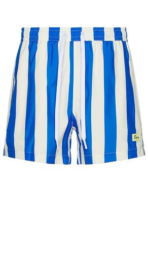 Traveler Swim Short in . Size XL/1X - Duvin Design - Modalova