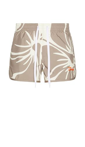 Hibiscus Tanning Swim Short in . Size M, S, XL/1X - Duvin Design - Modalova