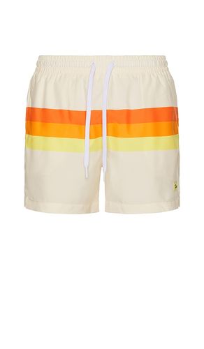 SHORT DE BAIN HORIZON in . Size M - Duvin Design - Modalova