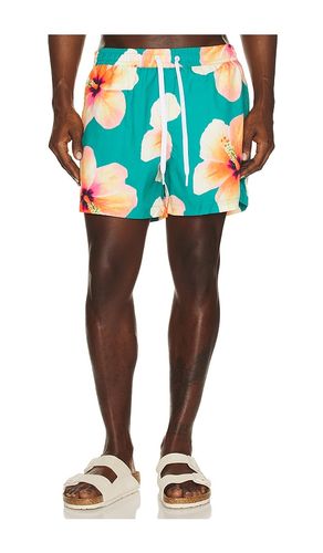 SHORT en . Taille S. Also en L, XL/1X - Duvin Design - Modalova