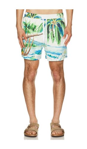 SHORT DE BAIN POSTCARD en . Taille S. Also en M, L, XL/1X - Duvin Design - Modalova