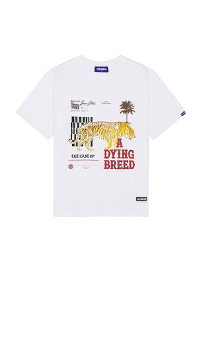 T-SHIRT in . Size S, XL/1X - Deva States - Modalova