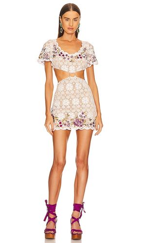 ROBE COURTE JANE in . Size XL - DUNDAS x REVOLVE - Modalova