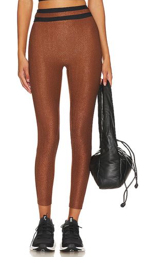 Duke Legging in . Size M - DEVON WINDSOR - Modalova