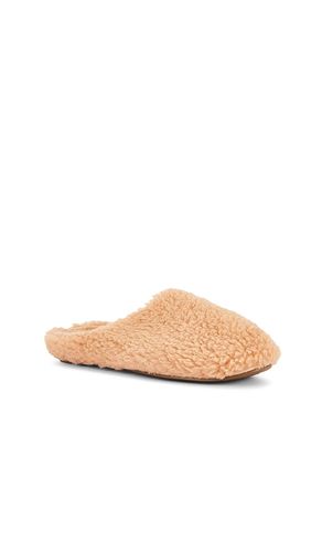 PANTOUFLES en . Taille S. Also en L - eberjey - Modalova