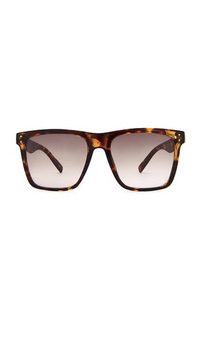 LUNETTES DE SOLEIL KRAZ en - AIRE - Modalova