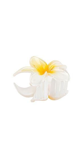 Pince clip Super Bloom en - Emi Jay - Modalova