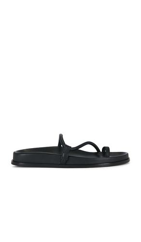 SANDALES BARI en . Taille 36. Also en 37, 38, 40 - Emme Parsons - Modalova