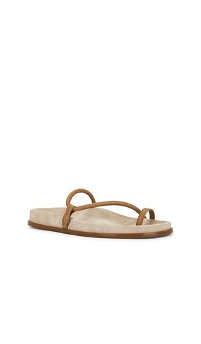 NU-PIED BARI en . Taille 37. Also en 38, 39, 40 - Emme Parsons - Modalova