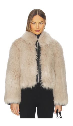 BLOUSON IMPRIMÉ YATES en . Taille S. Also en XS, M, L - ET OCHS - Modalova