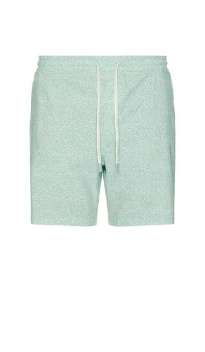 SHORT DE BAIN SHORELITE in . Size S - Faherty - Modalova