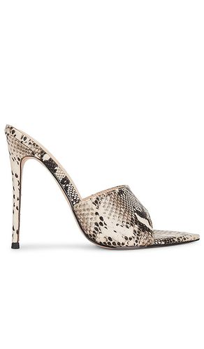 Gianni Patent Mule Sandal in ,. Size 5, 6, 7, 8, 9 - FEMME LA - Modalova