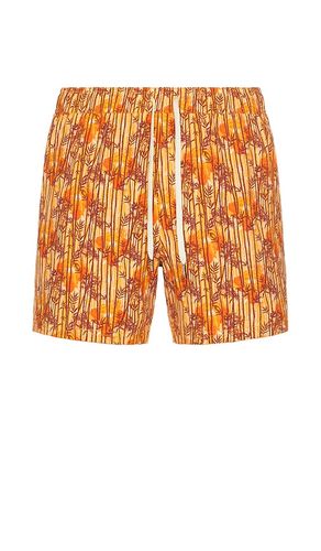 MAILLOT DE BAIN en . Taille L. Also en M, S, XL/1X - Fair Harbor - Modalova