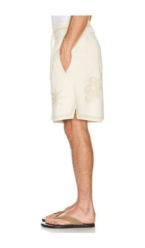 Breaking Bread Knit Short en . Taille S. Also en L, XL/1X - Filling Pieces - Modalova