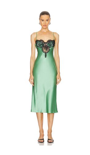 ROBE CARACO FRANKIE LACE CUPPED in . Size M, S, XS - fleur du mal - Modalova