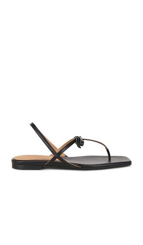 SANDALES SINA en . Taille 37. Also en 38, 39 - Flattered - Modalova