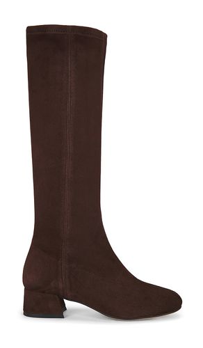 BOTTINES EDEN en . Taille 35. Also en 36, 37, 38, 39, 40 - Flattered - Modalova