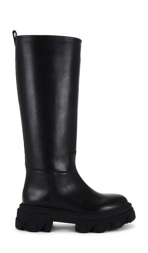 BOTTINES PERNI 07 in . Size 7, 8.5 - GIA BORGHINI - Modalova