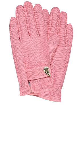 GANTS DE JARDINAGE GARDENING GLOVE in . Size - Garden Glory - Modalova