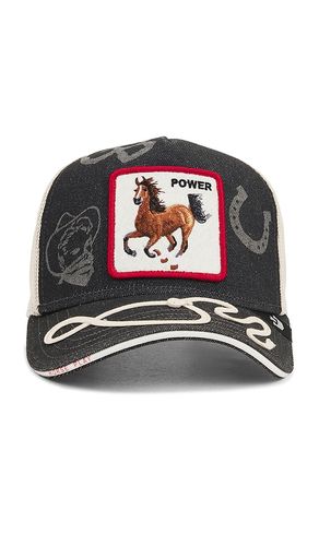 CASQUETTE FULL THROTTLE in - Goorin Brothers - Modalova