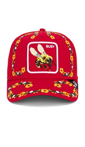 CASQUETTE SMELL THE FLOWERS in - Goorin Brothers - Modalova