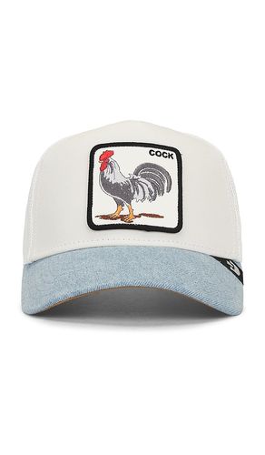 CASQUETTE ROOSTER FAN INSTITUTION BALL CLUB in - Goorin Brothers - Modalova