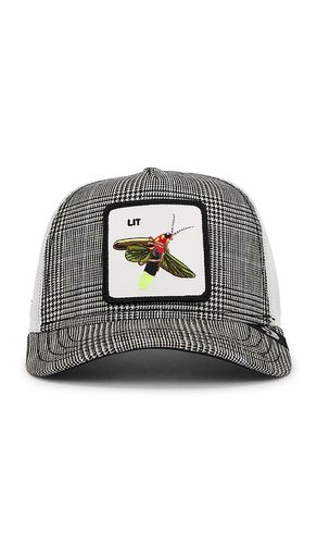 CASQUETTE MOON FIREFLY in - Goorin Brothers - Modalova