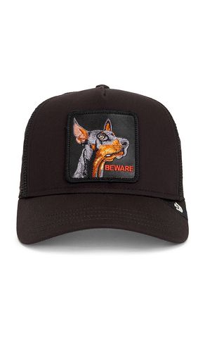 CASQUETTE BEWARE en - Goorin Brothers - Modalova