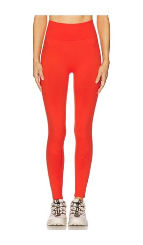 LEGGINGS SOPHIA en . Taille S. Also en M, L - Halfdays - Modalova