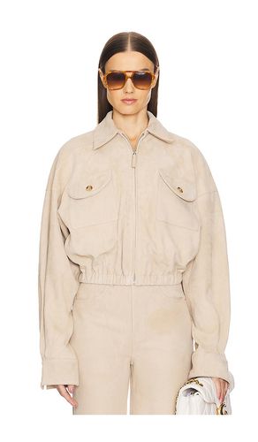 BLOUSON SUEDE BOMBER in . Size M, S, XL - Helsa - Modalova