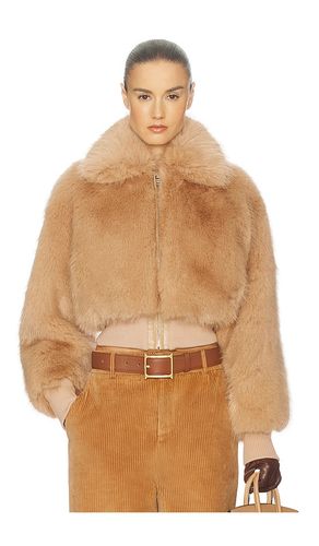 BLOUSON FAUX FOX BOMBER JACKET en . Taille L. Also en M, S, XL, XS - Helsa - Modalova