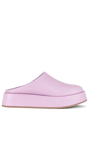 NU-PIED RISEN in . Size 11, 6, 7, 8, 9 - INTENTIONALLY BLANK - Modalova