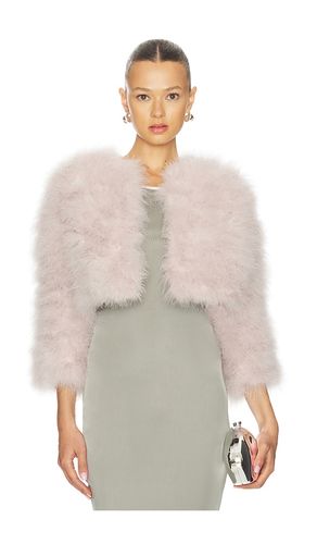 BOLÉRO FIFI en . Taille M. Also en L, XL - jocelyn - Modalova