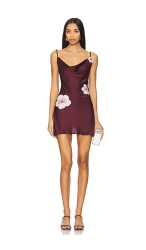 Galli Hibiscus Mini Dress in . Size M, S, XL, XS - Leslie Amon - Modalova