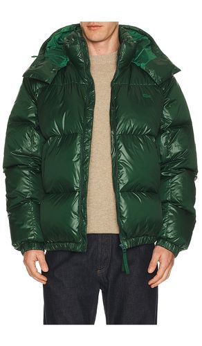 BLOUSON MATELASSÉ en . Taille 58. Also en 46, 54 - Lacoste - Modalova