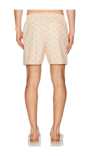 SHORT DE BAIN en . Taille M. Also en XL/1X - Lacoste - Modalova